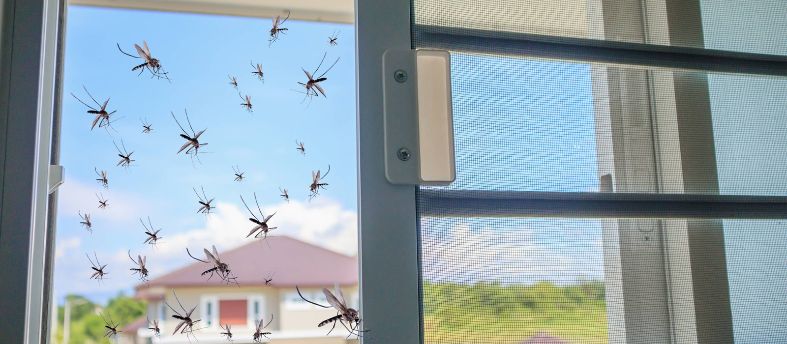 Magnetic Mosquito Net in Medavakkam